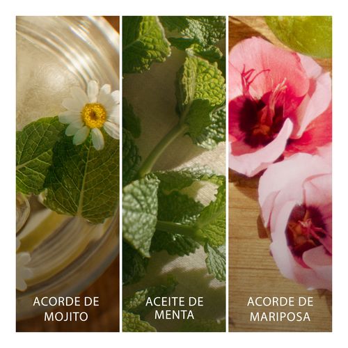 Brisa Cubana Edt Edición Limitada