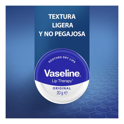 B&aacute;lsamo Labial