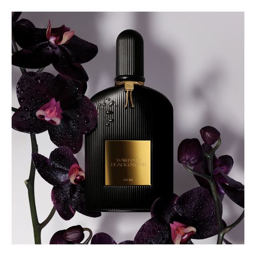 Black Orchid