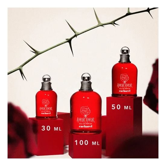 Amor Amor Edp