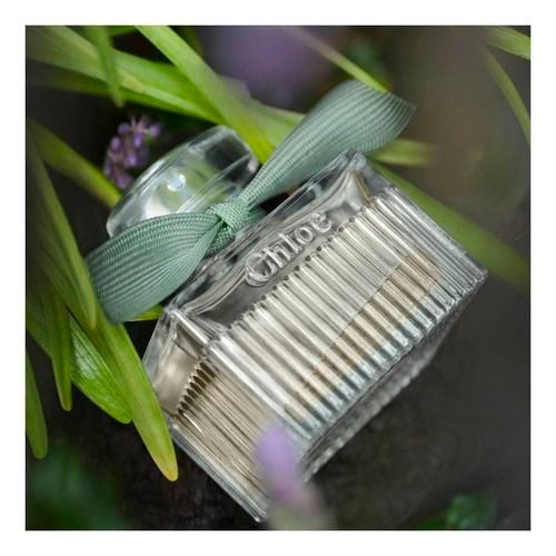 Rose Naturelle Intense Recargable