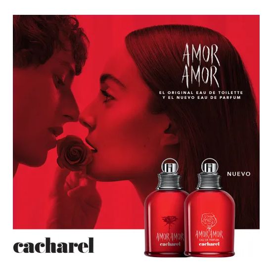 Amor Amor Edp