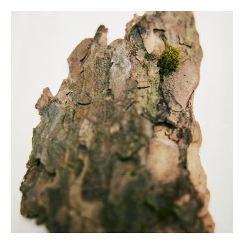 Naturelle edp