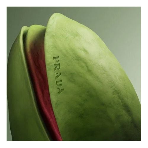 Paradoxe Radical Essence