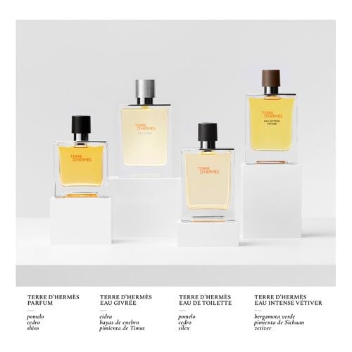 Terre D'Herm&eacute;s Eau de Toilette