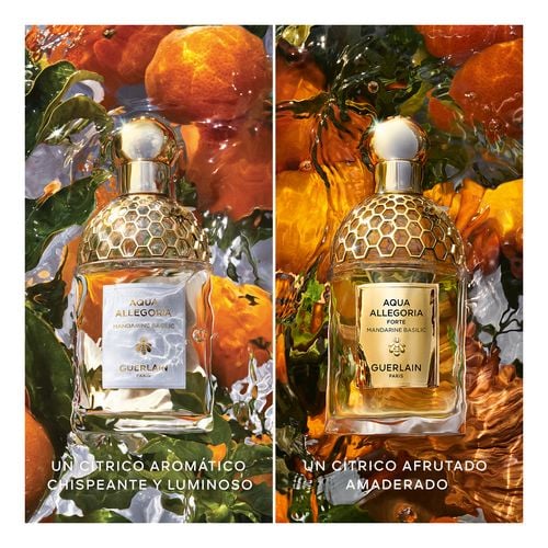 Aqua Allegoria Mandarine Basilic