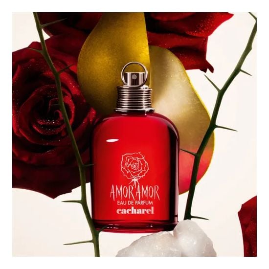 Amor Amor Edp