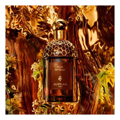 Absolus Allegoria Cuir Intense