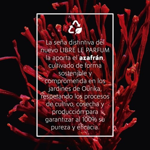 Libre Le Parfum