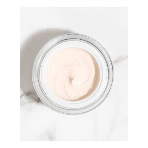 Sisle&yuml;a L'Integral Anti-Age Creme