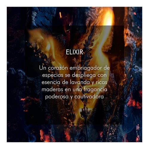 Sauvage Elixir 