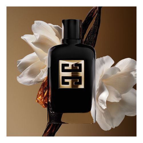 Gentleman Society Ambr&eacute;e