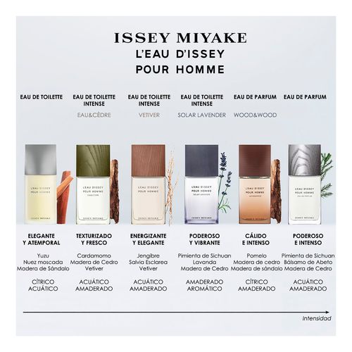 L'Eau D'Issey Homme
