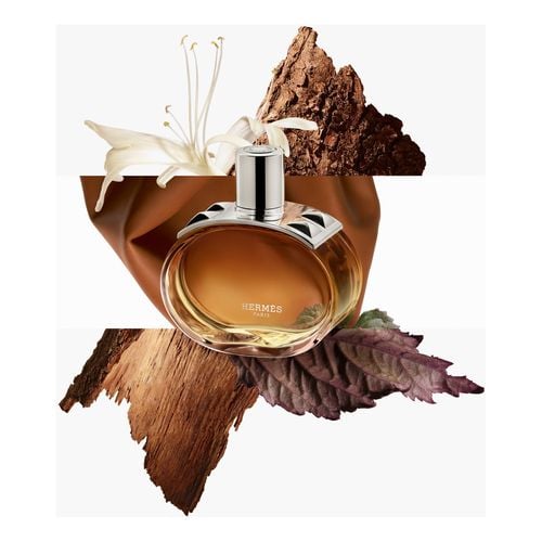 Barenia Intense