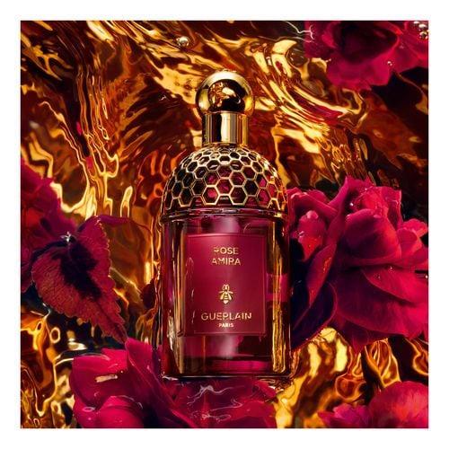 Absolus Allegoria Rose Amira Edp