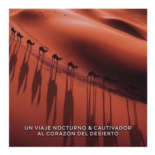 Absolus Allegoria Tabac Sahara