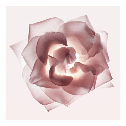 Cristal Edp