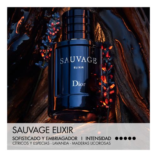 Sauvage Elixir 