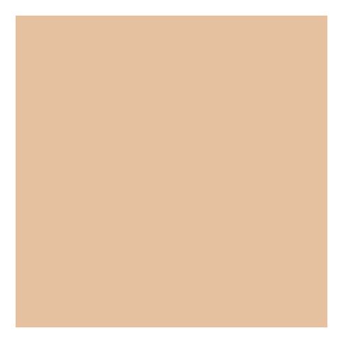 Dior Forever Glow Star Filter  