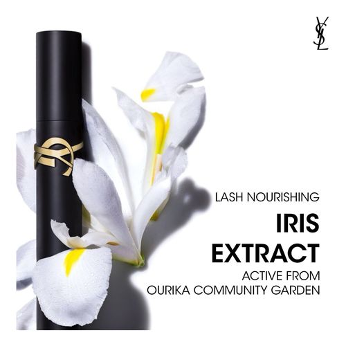 Lash Clash
