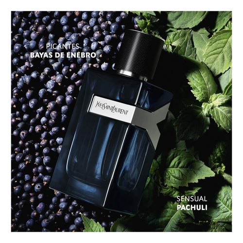 Y Eau De Parfum Intense