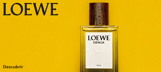 loewe movil